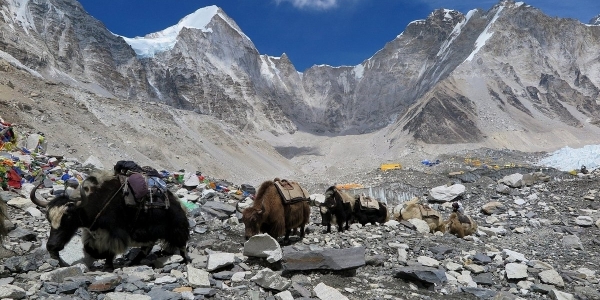 why we trek to nepal adventure pilgrimage with everest base camp?